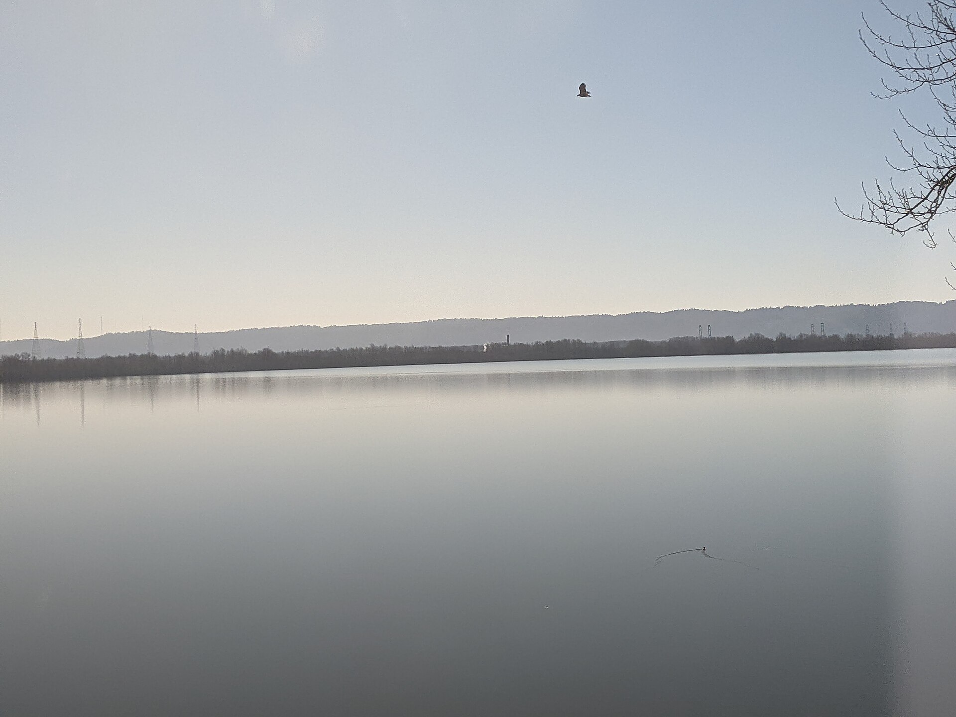 Vancouver Lake at dawn, at the edge of the Minnehaha area in Vancouver, WA